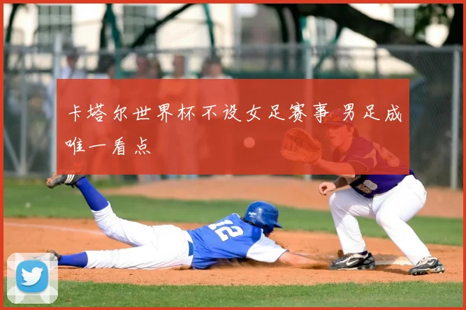 卡塔尔世界杯不设女足赛事 男足成唯一看点