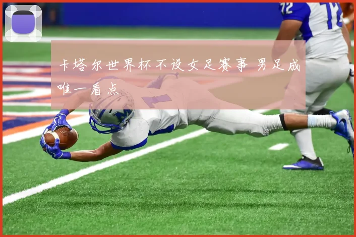 卡塔尔世界杯不设女足赛事 男足成唯一看点